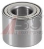 RENAU 432102103R Wheel Bearing Kit